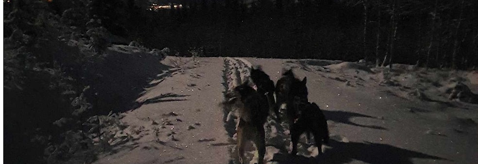 Fellestrening Ørsta/Volda